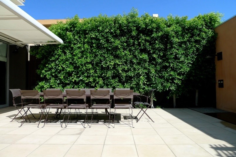 Uses of Artificial Hedges as a Feature on your Garden