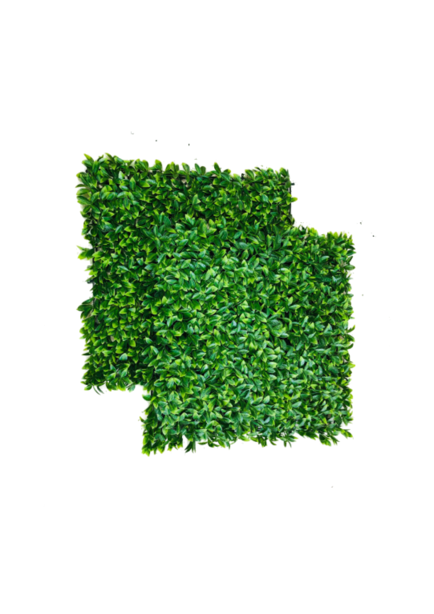 Evergreen Artificial Hedge Tile (A804) 50 x 50 CM