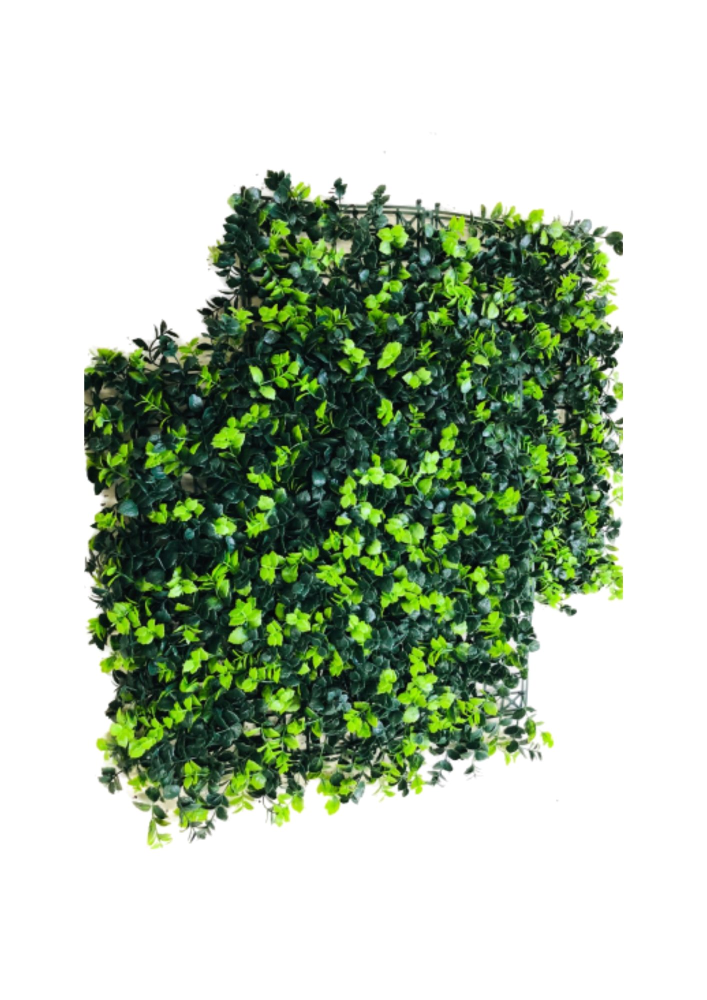 Faux Ligustrum Artificial Hedge Tile (A019) 50 x 50 CM