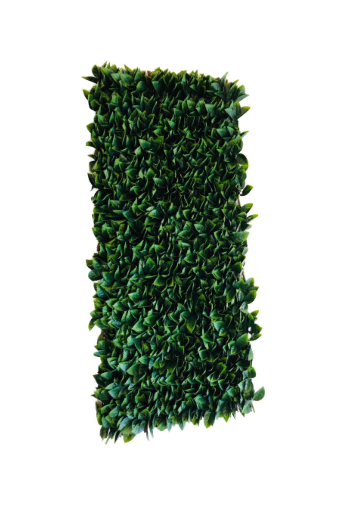 Green Trellis Artificial Hedge Tile (B032) 100x200 CM