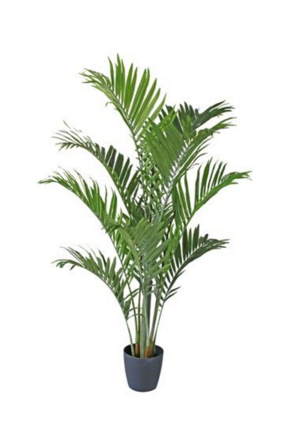 Kentia Palm Artificial Plant