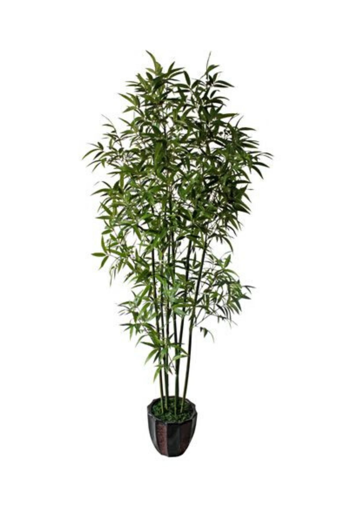 Fargasia Greatwall Bamboo Artificial Plant