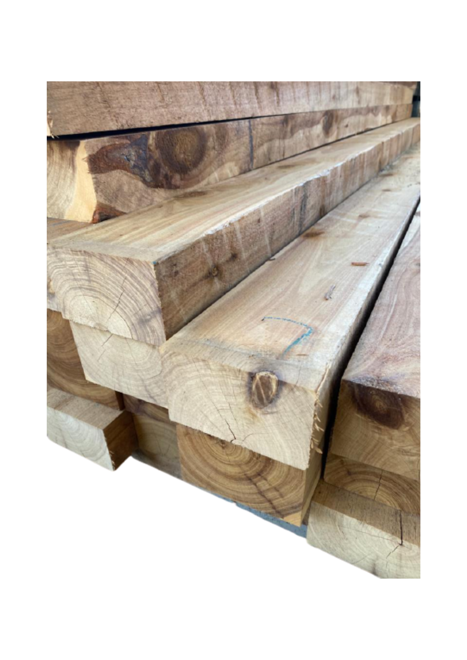 Treated Pine Fence Paling (Timber Fence)