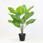 Evergreen Leaf Artificial Plant