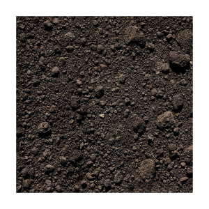 Top Soil (Lawn Mix)