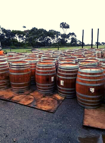 Wine Barrels 300 Whole