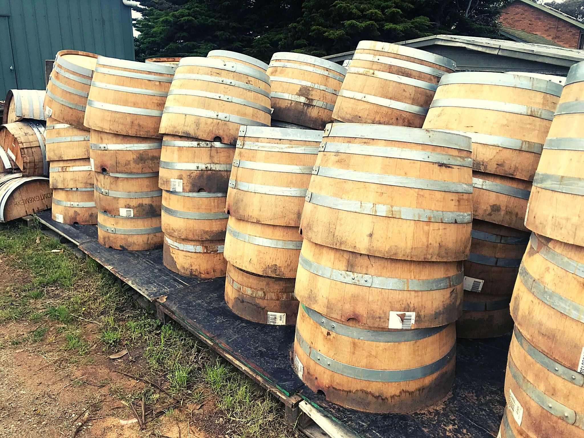 Wine Barrels 300 Half